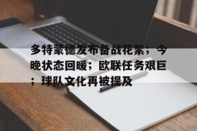爱游戏-多特蒙德发布备战花絮；今晚状态回暖；欧联任务艰巨；球队文化再被提及的简单介绍